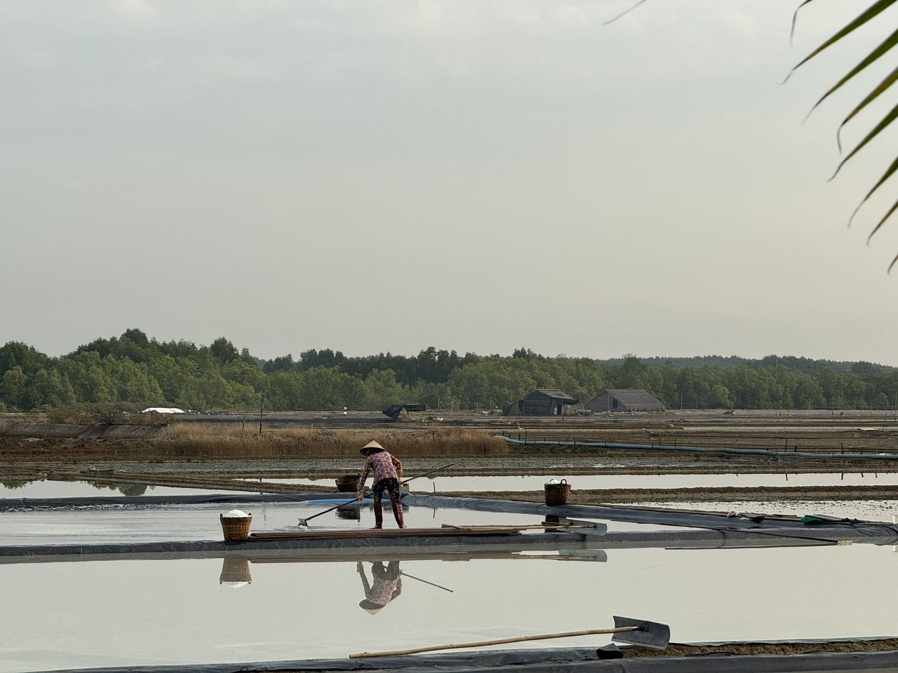 cánh đồng muối đảo thiềng liềng